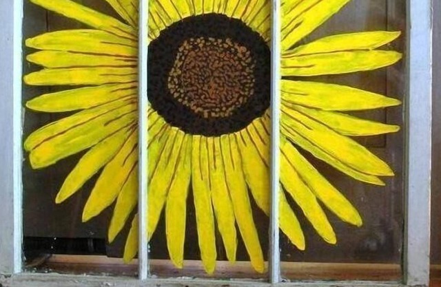 Indian Pass Sunflower