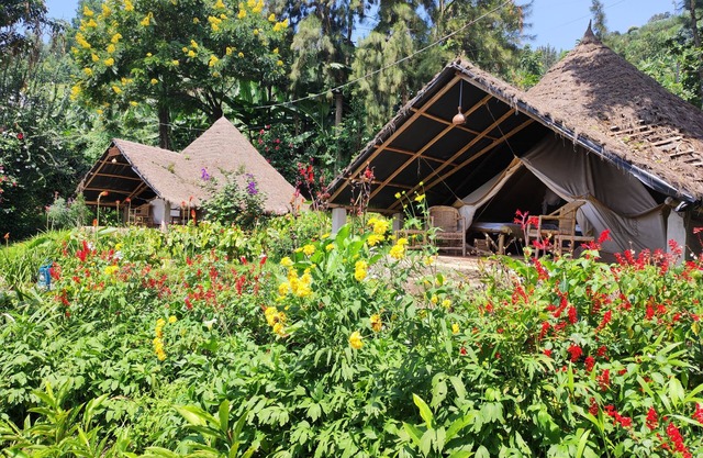 INZU Lodge