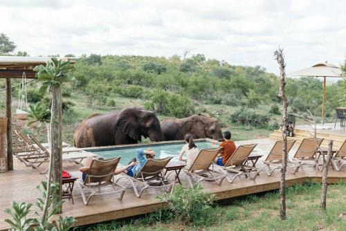Isambane Camp