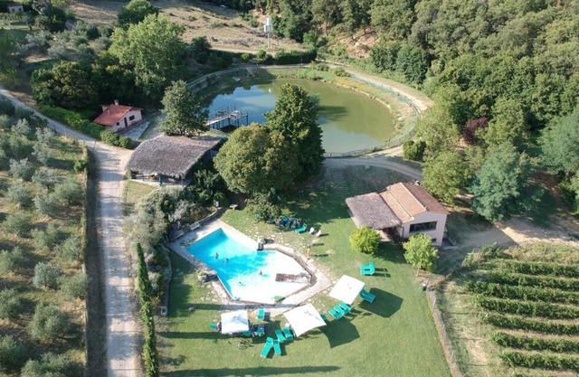 PINETA - Fattoria Celle Villa Massi