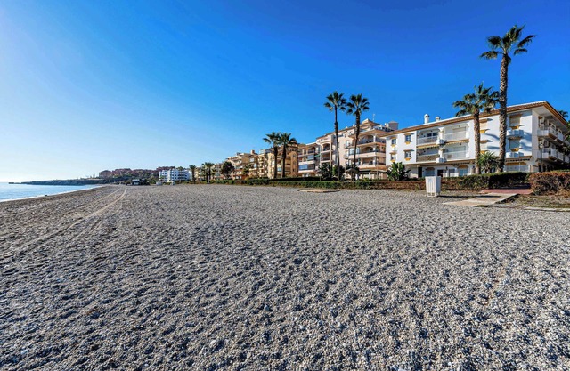 Jardines del Mar Summ