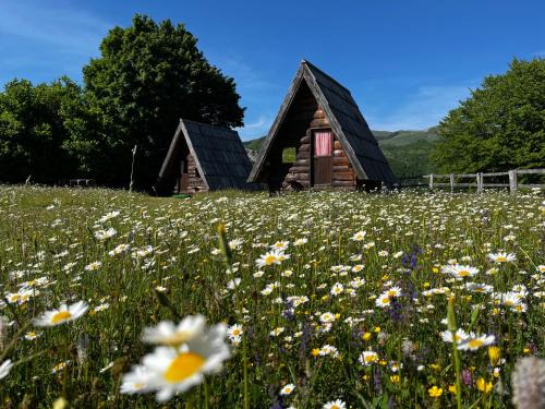 Jatak Cabins and Camping