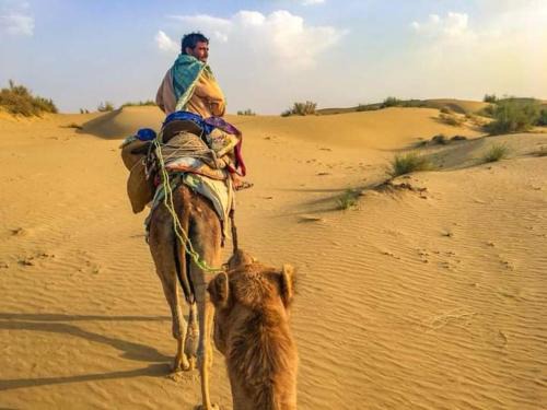 Jimmy Desert guesthouse & Safari
