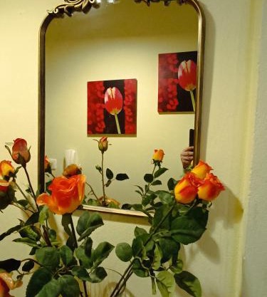 joanna's house