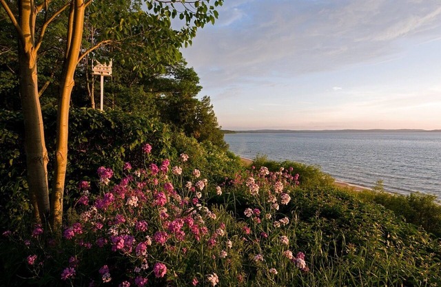 Leland Beach At The Resort 