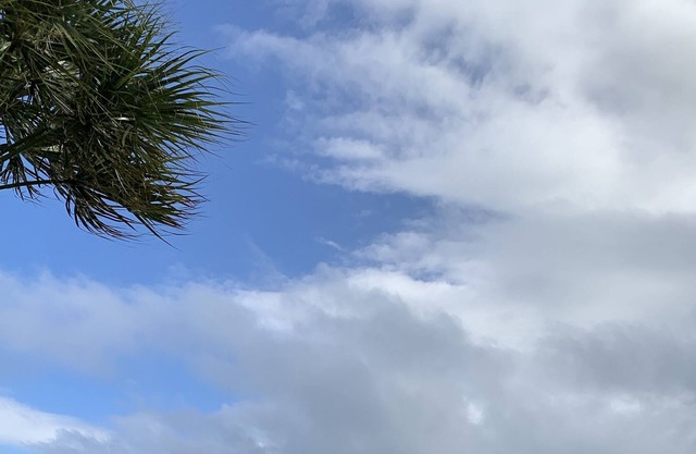 Jupiter/Tequesta area