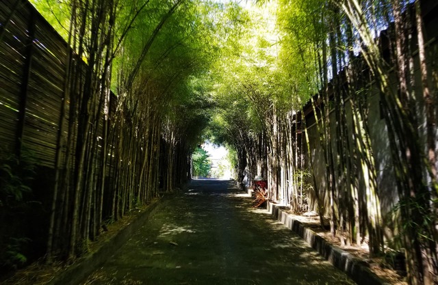 Kampoeng Bamboo w/Private Pool 50Mbps Internet