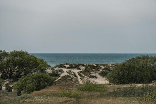 Kapitono tiltelis
