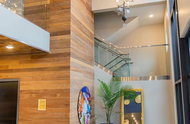 Kasa | Take a Stroll in Forest Park | Forest Park