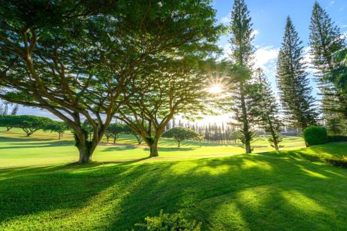 KBM Resorts 2 FREE CARS Kapalua Golf Villas Golf Course view 4-Bedroom Multi Unit Listing KGV-14P6P3