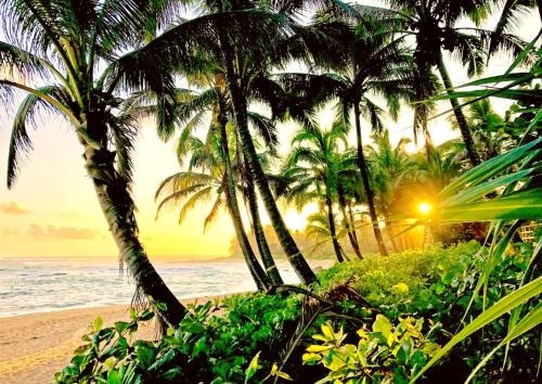 KBM Resorts FREE CAR Islands at Mauna Lani 2-Bedroom Condo with Exclusive Private Beach Club and Sports Club Access IML-E4