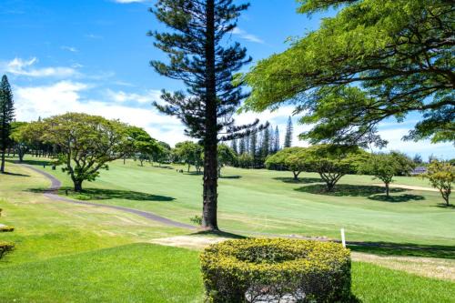 KBM Resorts Spacious 6-Bedroom Kapalua Golf Collection Multi Unit Listing Same Enclave Golf Course Views 3 Free Rental Cars KGV-14P3P6V3