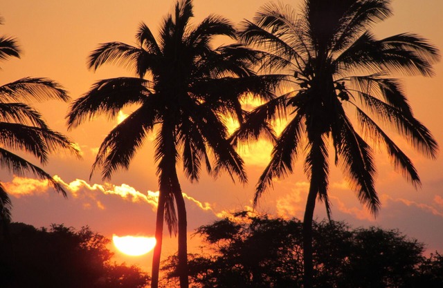 Kepuhi Beach Resort #2202-Paradise Found
