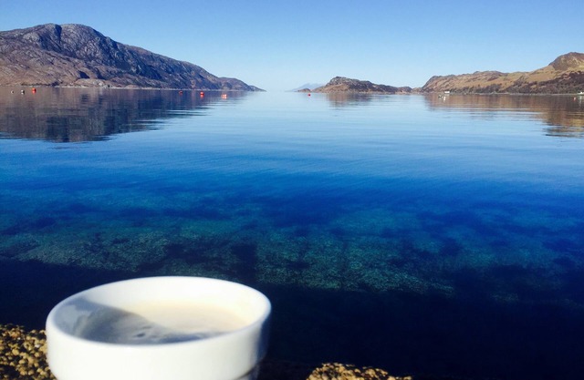 Knoydart Hide Award Winning Honeymoon Hideaway w/Sauna + Hot tub Sleeps 2 - 4