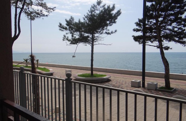 Kobuleti-Seashore-Sanapiro #66