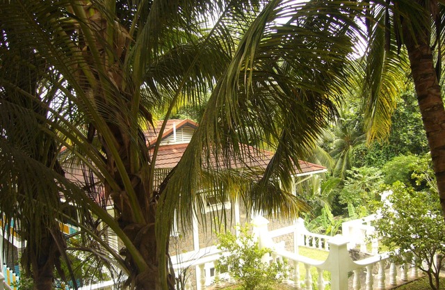 Koko Villas