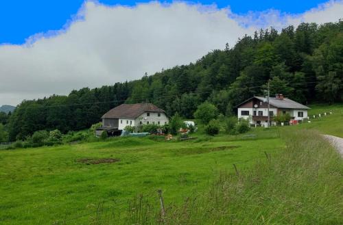 Kriegwald Apartements