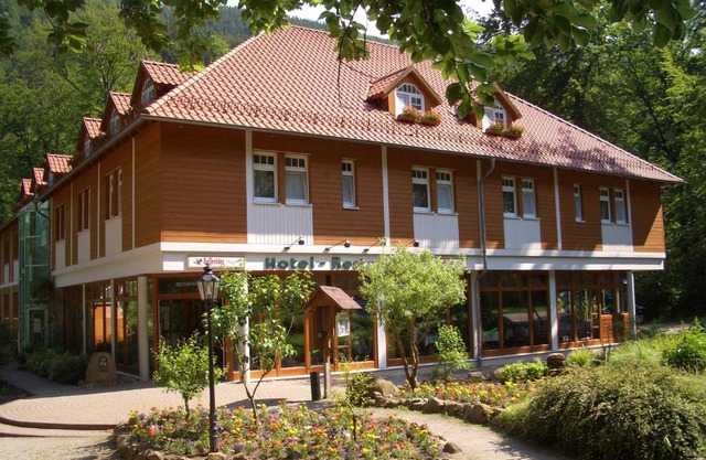 Kurpark Flair Hotel Im Ilsetal