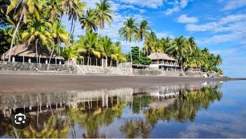 La ceiba surf