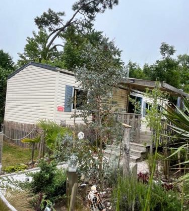 La Pinède Ensoleillée au Camping La Dune Blanche