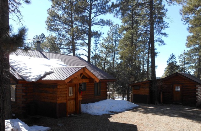 La Plata Mountains Cabins - 2 Cozy log cabins in SW Colorado, near Mesa Verde NP