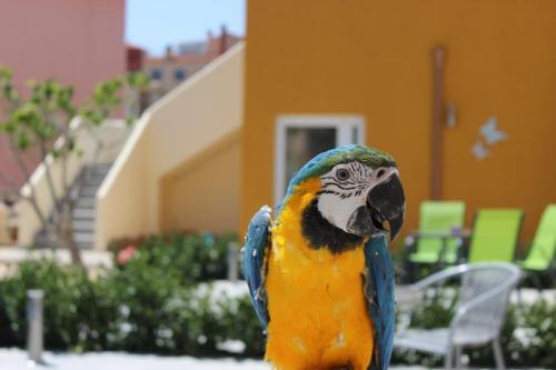 Badia Bel Appart Plage Empuriabrava 