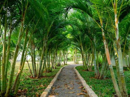 Lakeview Gardens