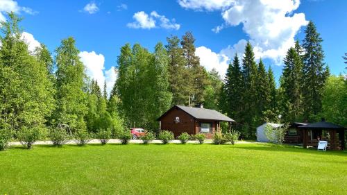 Lapin Paradise