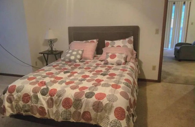 Large 1 BR Apartment in downtown Bismarck. Beautifully furnished. W/D in unit.