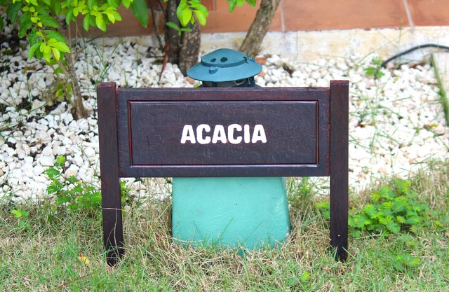 Large 3-bedroom Villa in Cocotal Golf & Country Club Punta Cana, 5 min to beach