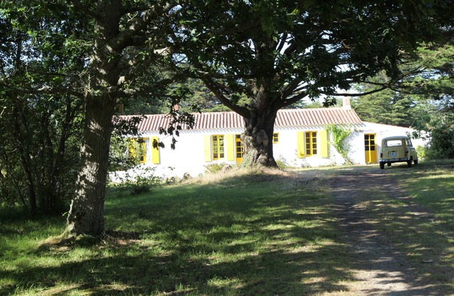large charming house, secluded in a park on the edge of the wild coast.