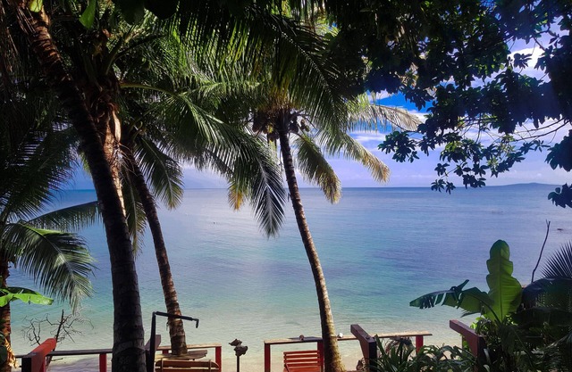Las Palmeras Beachfront Hotel
