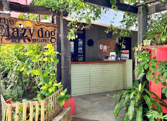 Lazy Dog Bed & Breakfast