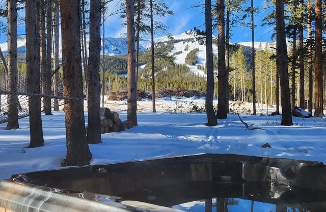 Lazy Fox Lodge in National Forest View