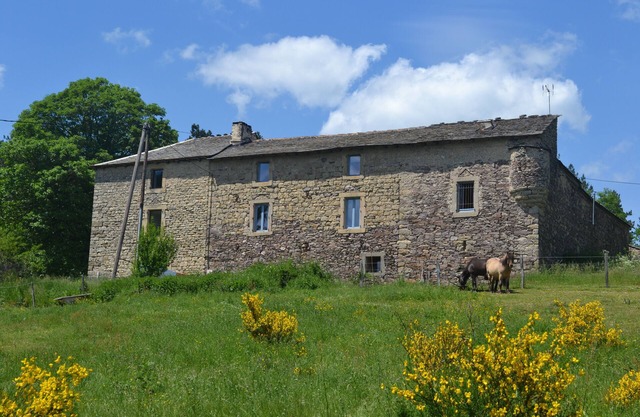 Le Grand Duc