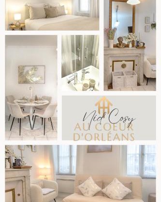 Le Nid Cosy -Au Cœur d'Orléans