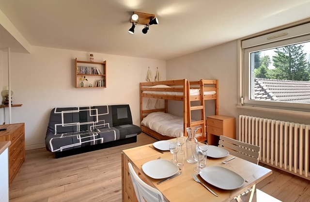 Le Nid des Vosges - Appt vue montagne