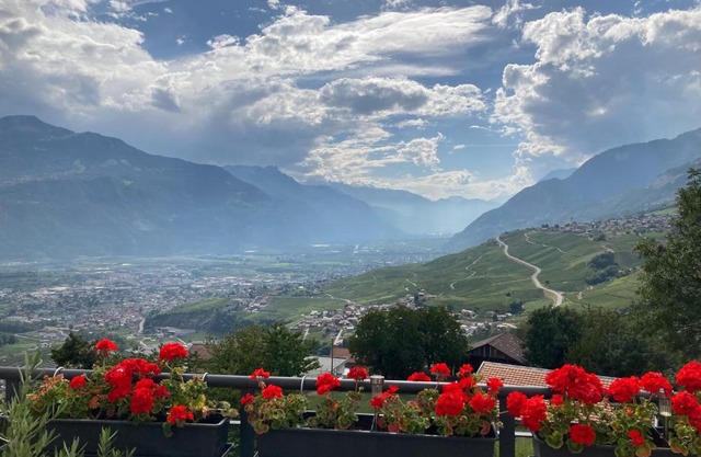 Les balcons du Rhône
