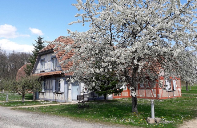 Les Loges de l'Ecomusée D'Alsace