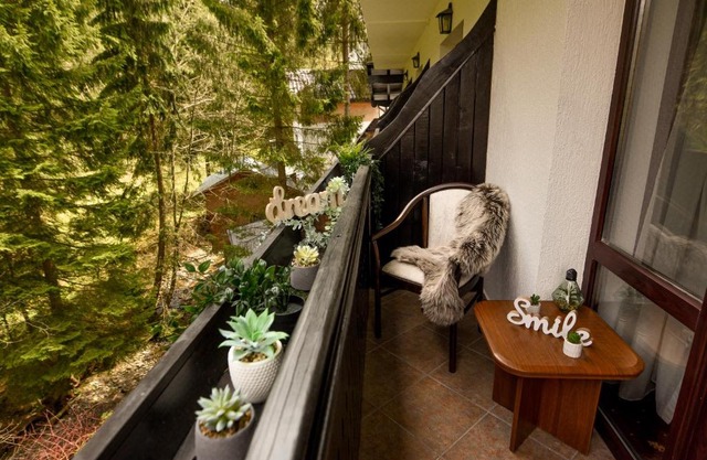 LET'S SKI - Wild & Free Ideal Room with View