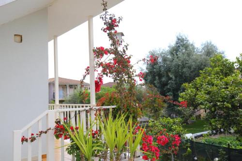 Libertá Home