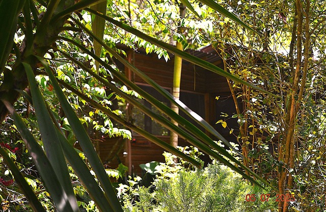 Licensed 2 bedroom cabin Close to San Ignacio, local dining, and adventure tours