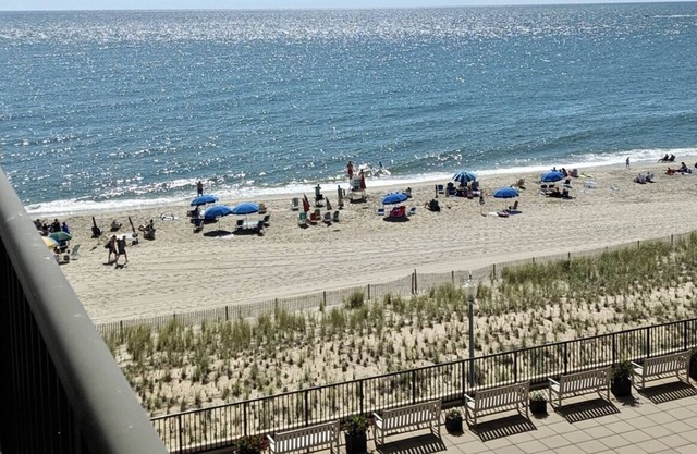 Henlopen Beach 