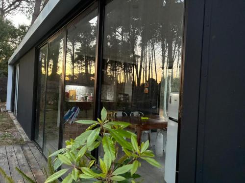 Loftdelbosque