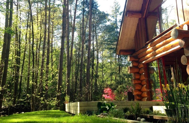 Log cabin (rough logs) among the trees and spa