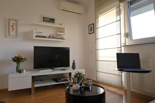 Lola suite