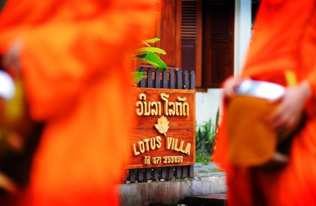 Lotus Villa