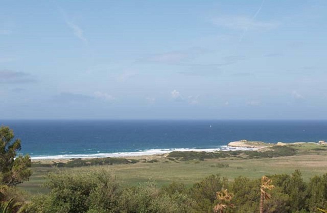 Lovely apartment 1 bedroom in Torre Soli Nou