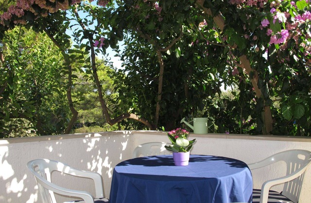 Lovely apartment for 4 guests with A/C, WIFI, terrace and pets allowed