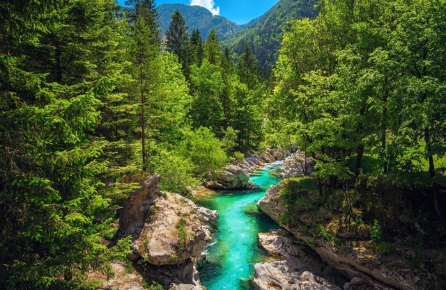 Lovely Flat Tolmin, Tolmin, Slovenia